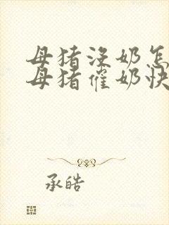 母猪没奶怎么办母猪催奶快方法
