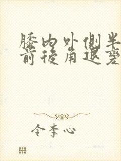 膝内外侧半月板前后角退变