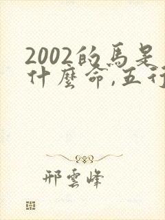 2002的马是什么命,五行属性