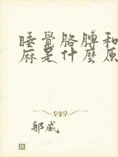 睡觉胳膊和手发麻是什么原因引起的