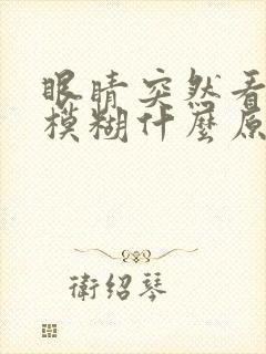 眼睛突然看东西模糊什么原因封面
