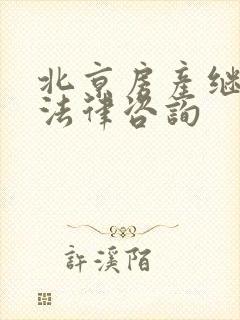 北京房产继承权法律咨询封面