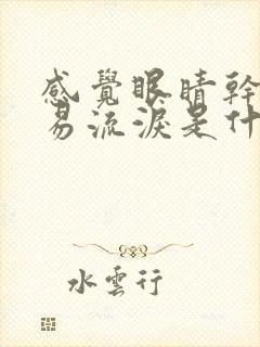感觉眼睛干涩容易流泪是什么原因引起的封面