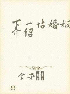 下一站婚姻剧情介绍