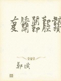 右膝关节髌上囊及关节腔积液