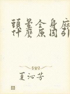 头晕全身麻木是什么原因引起的