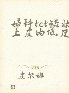妇科tct鳞状上皮内低度病变封面