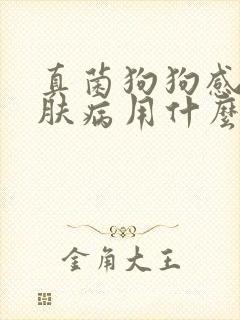 真菌狗狗感染皮肤病用什么药最好