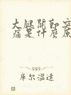 大腿关节突然疼痛是什么原因引起的封面