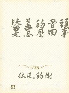 膝盖的骨头疼痛是怎么回事封面
