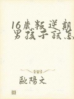 16岁叛逆期的男孩子该怎样去沟通教育