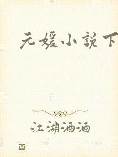 元媛小说下载封面