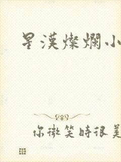 星汉灿烂小说封面