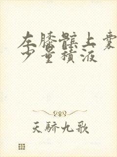 左膝髌上囊上有少量积液封面