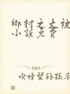 乡村之大被同眠小说免费封面
