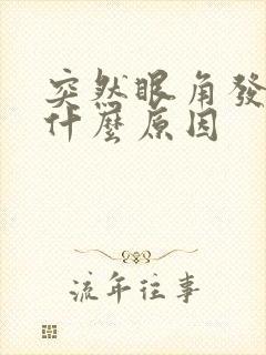 突然眼角发痒是什么原因封面