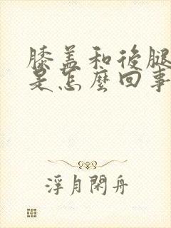 膝盖和后腿弯疼是怎么回事