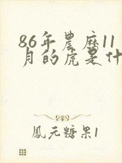 86年农历11月的虎是什么命封面
