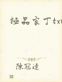 极品家丁txt