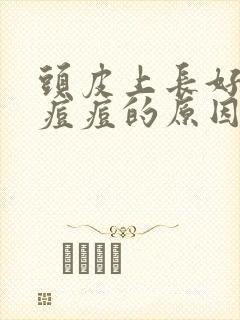 头皮上长好多红痘痘的原因