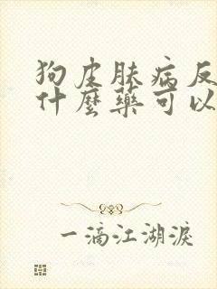 狗皮肤病反复用什么药可以治疗
