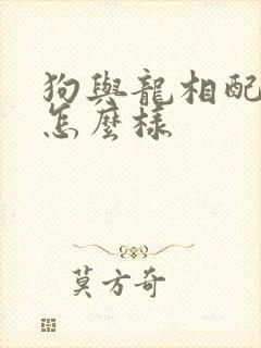 狗与龙相配婚姻怎么样