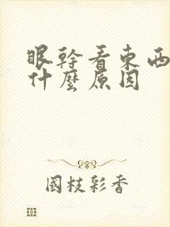 眼干看东西模糊什么原因