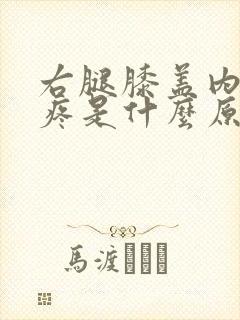 右腿膝盖内侧肿疼是什么原因引起的
