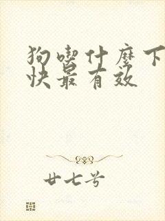 狗吃什么下奶最快最有效