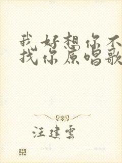我好想你不能去找你原唱歌曲