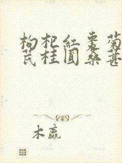 枸杞红枣菊花黄芪桂圆桑葚泡水喝可以封面