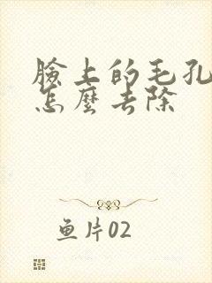 脸上的毛孔粉刺怎么去除