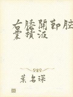 右膝关节腔髌上囊积液