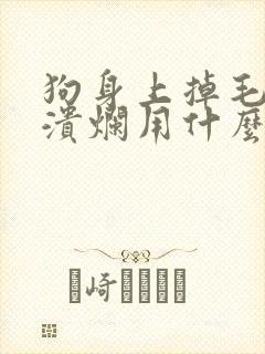 狗身上掉毛皮肤溃烂用什么药