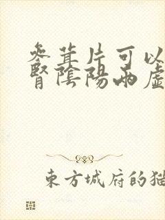 参茸片可以治疗肾阴阳两虚吗封面
