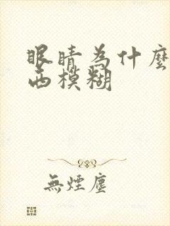 眼睛为什么看东西模糊