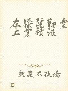 左膝关节囊及髌上囊积液