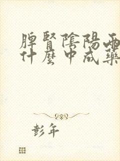 脾肾阴阳两虚吃什么中成药