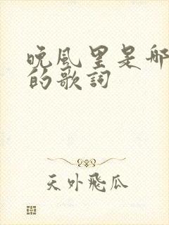晚风里是哪首歌的歌词封面