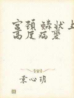 宫颈 鳞状上皮高度病变