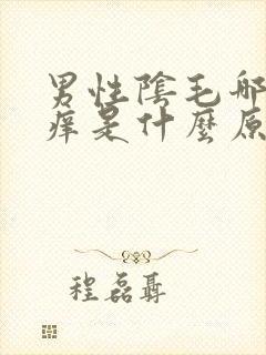 男性阴毛哪里很痒是什么原因