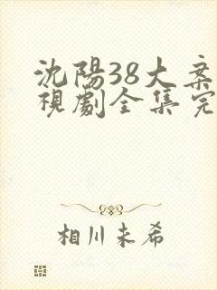 沈阳38大案电视剧全集完整