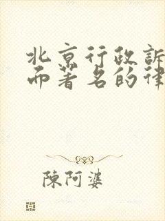 北京行政诉讼方面著名的律师封面