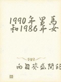 1990年男马和1986年女虎合婚