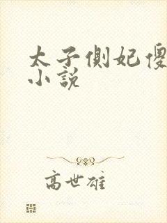 太子侧妃傻乎乎小说
