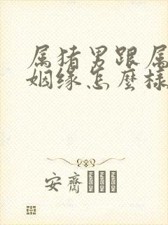 属猪男跟属兔女姻缘怎么样