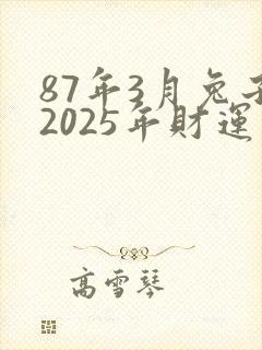 87年3月兔子2025年财运