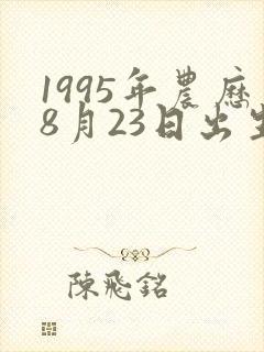 1995年农历8月23日出生是什么命