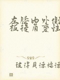 左膝内外侧半月板后角变性