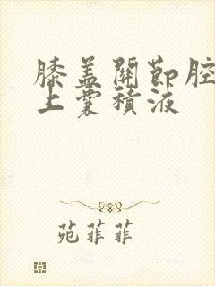 膝盖关节腔及髌上囊积液